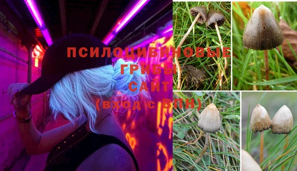 винт Белоозёрский
