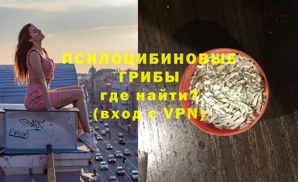 a pvp Белокуриха