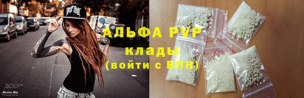 a pvp Белокуриха