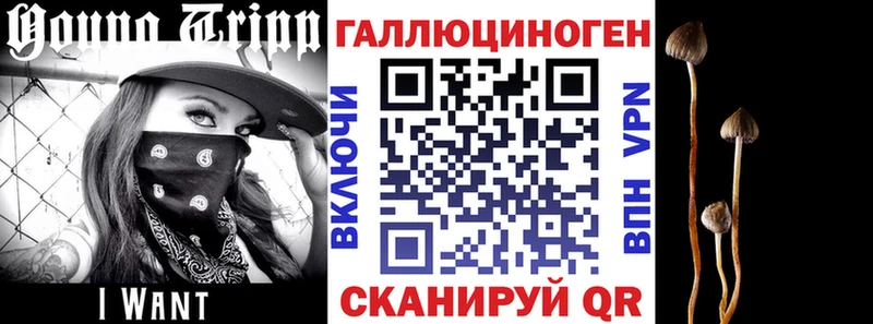 Псилоцибиновые грибы мицелий  сколько стоит  Сибай 